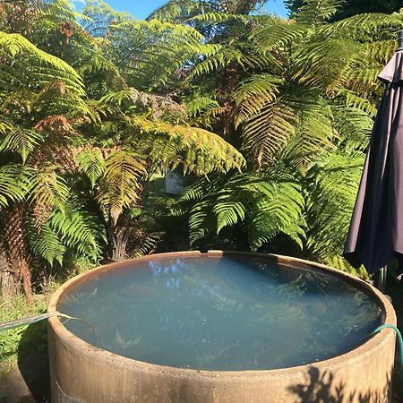 Whare&Geothermal Pool By Lake Taupo Turangi Exterior photo