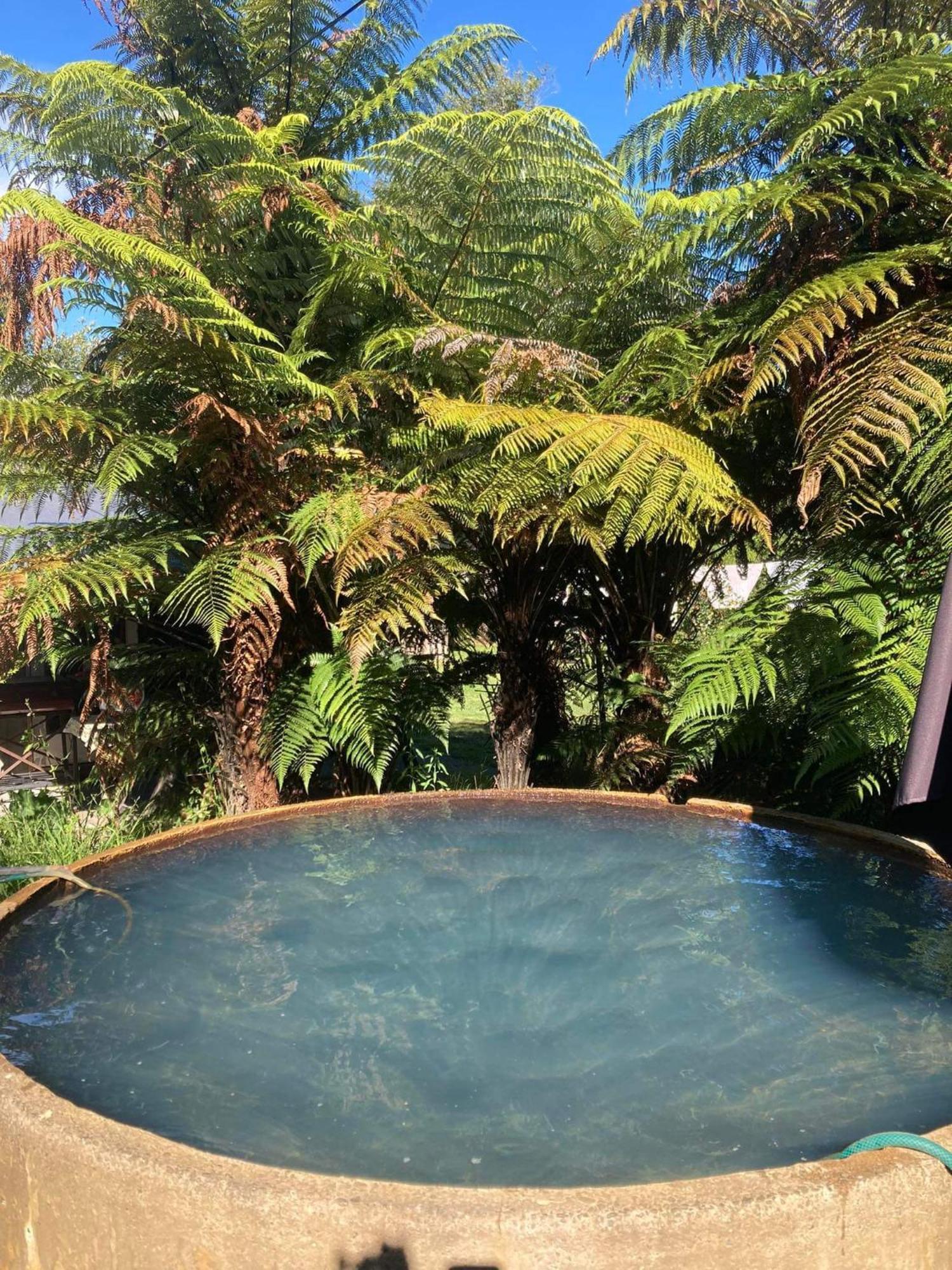 Whare&Geothermal Pool By Lake Taupo Turangi Exterior photo