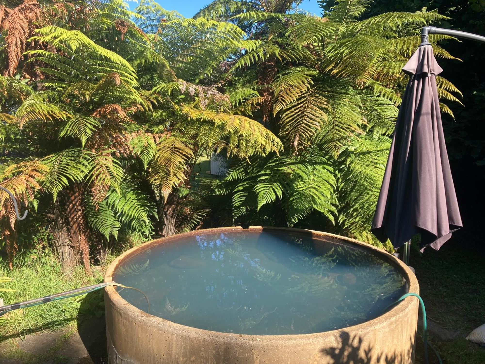 Whare&Geothermal Pool By Lake Taupo Turangi Exterior photo